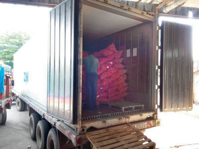 Despite falling demand, the APMC market received 28 tonnes of onions from Turkey on Monday