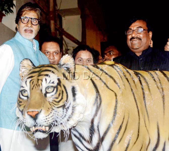 Amitabh Bachchan with Sudhir Mungantiwar on August 11, when he was appointed as the Tiger Ambassador of the state. Pic/Atul Kamble