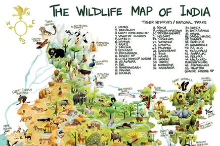 Mapping wild India