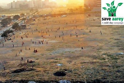 Build Mumbai Metro stabling yard at MMRDA ground, not Aarey: Environmentalists