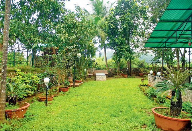 The green lawn after a passing shower