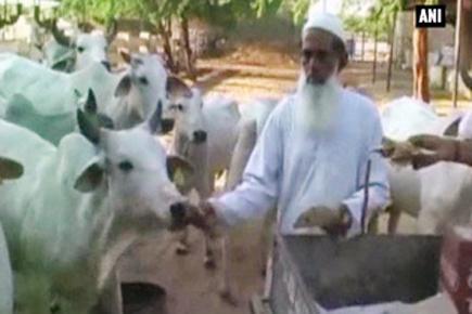 Muslim man offers roti to cows for 15 years in Jaisalmer
