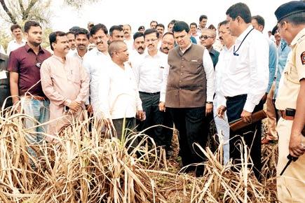 Maharashtra government may soon declare a drought in the state