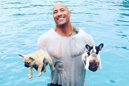 Dwayne Johnson rescues puppies from drowning in pool