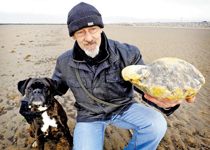 The vendor was out walking his dog when it ran over to this object (whale vomit) and wouldn’t leave it alone,  said the auctioneer. Pic/AFP