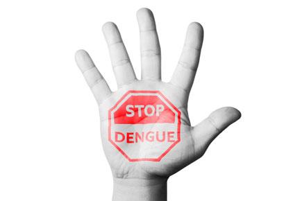 First effective dengue drug soon