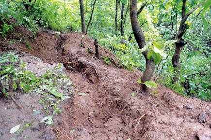 Male skeletal remains found in Raigad; cops get it right this time