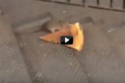 Watch video: 'Pizza rat' dragging a slice down the steps goes viral