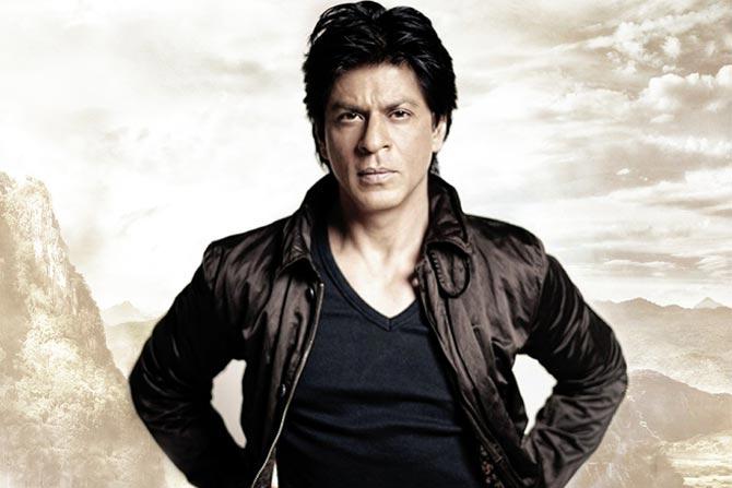 What frees Shah Rukh Khan