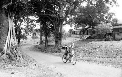 A cyclist passing by the front road of Highland Guest House of McCluskieganj