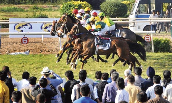 A frame from the start of the race, Indian Turf Invitation Cup no 8 that was won by Quasar at the Mahalaxmi racecourse from earlier this year. File photo