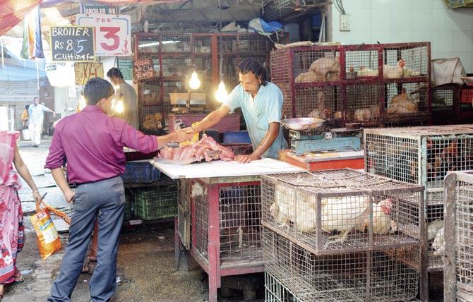 Currently, meat cannot be sold in BMC limits on the four days of the Paryushan period — September 10, 13, 17 and 18. The BJP seeks to increase this to nine days. Pic for representation