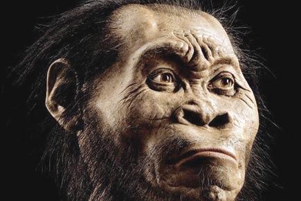 New human-like species found in South Africa