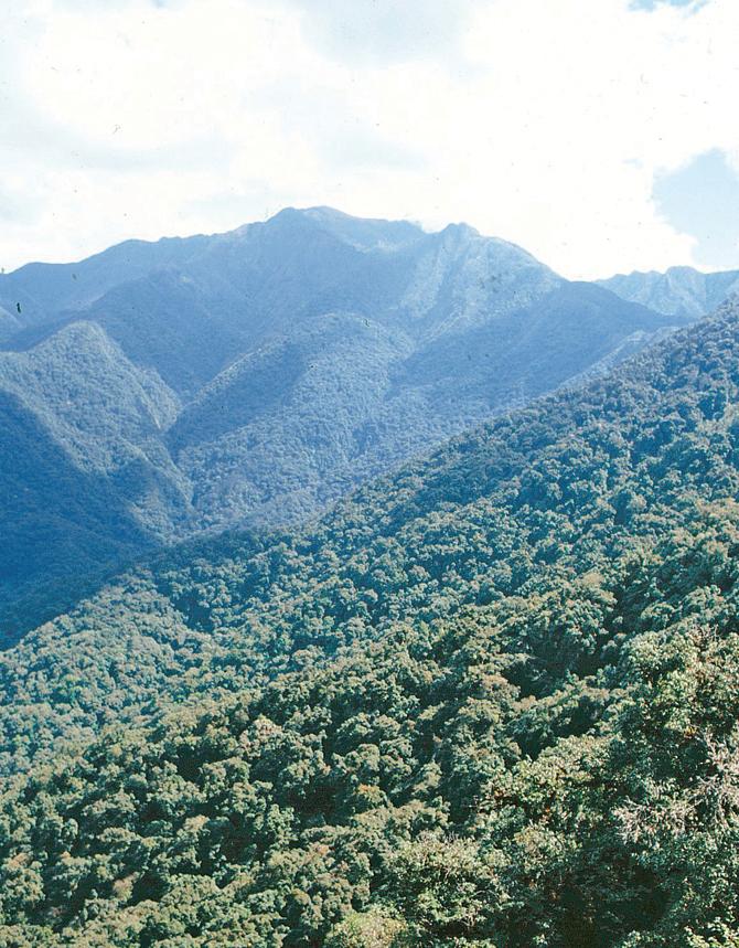 A view of Nagaland. Pic / Anwaruddin Choudhury  