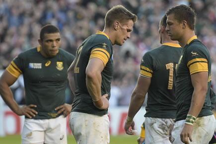 Rugby World Cup 2015: Is 'bird poop' to blame for Springboks defeat to Japan?