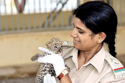 Meet the lion-hearted woman of Gir