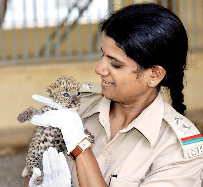 Rasila Vadher, a female rescue guard, with a leopard cub