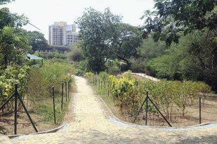 Mumbai: SGNP garden can be turned into a parking lot, but conditions apply