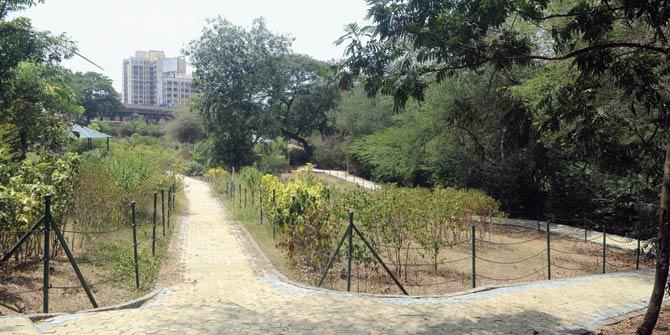 Krishnagiri garden is located near the SGNP’s main gate and is a huge hit among morning and evening walkers