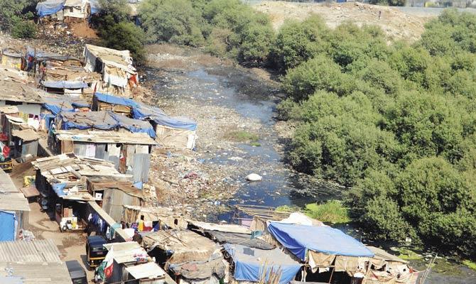 Slums encroach upon a mangrove patch in BKC. File pic