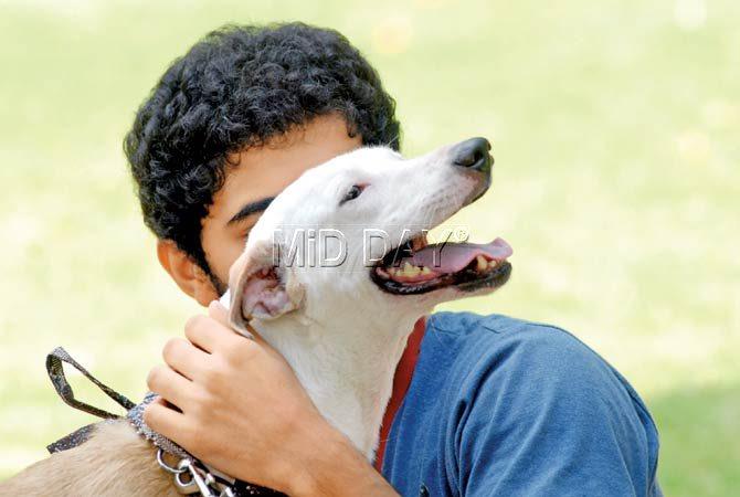 A pet stray with its owner at a previous event organised by Welfare of Stray Dogs. Pic/Shadab Khan