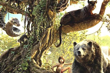 Disney confirms 'The Jungle Book' sequel