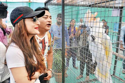 Spotted: Ameesha Patel at a pet show