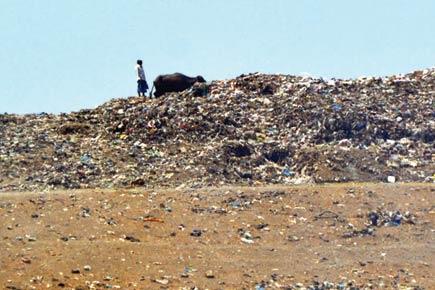 Mumbai: Deonar dumping ground to take time to be fully functional