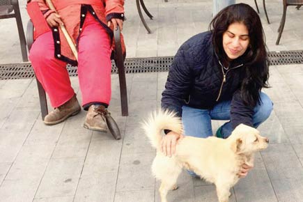 Mumbai dog lady's tryst with Chinese pooches