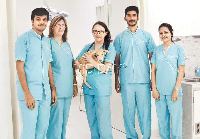 South Mumbai veterinary hospital offers the best medical care to pets