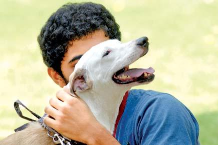 Online website on a mission to rehabilitate stray dogs