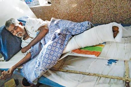 Mumbai: Third crocodile attack in 7 years for Bhure family 