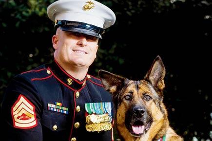 Veteran dog who served more than 400 US missions honoured with top medal