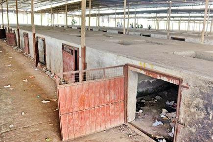 Thane: TMC asked to account for failed hawkers market