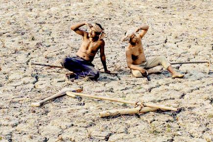 Maharashtra drought: 12-year-old girl dies of heat stroke while fetching water