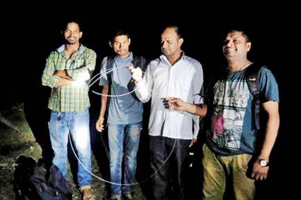 Mumbai: Poacher's snare? Five-foot-long wire found in Aarey forest