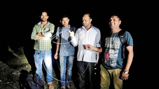 The team of volunteers with the wire spotted inside the forest in Aarey Colony