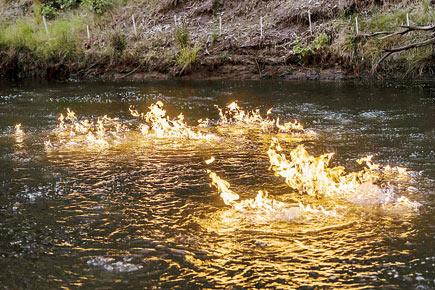 Australian MP sets river ablaze in protest against fracking
