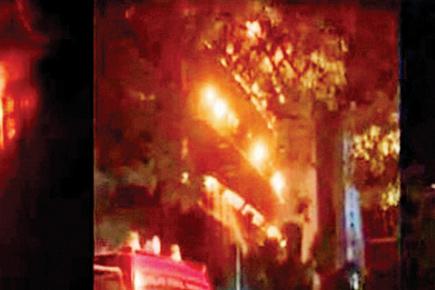 Late night blaze guts Delhi's Natural History museum