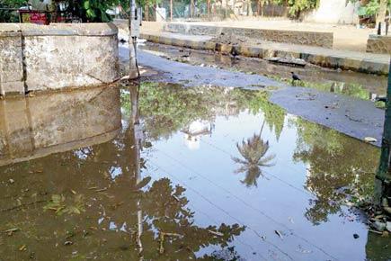 Water crisis in Mumbai, but Chembur street flooded since 9 days