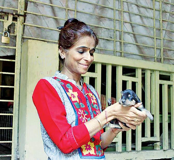 Ranjan Zala, an animal lover, lodged the complaint against Ajay Sangoi