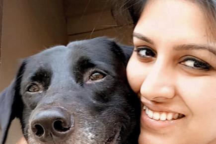 Pet owner takes on RPF cops for 'harassing' her dogs and their walker