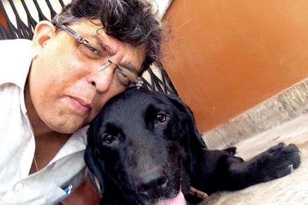 Mumbai: SoBo businessman accuses animal hospital of abducting his Labrador