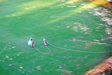 IPL 9: Turf Club will charge BCCI for 80,000 litres of water per day