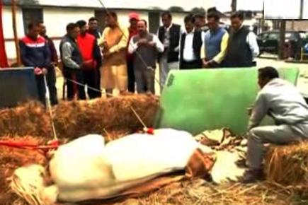 Dehradun: Police horse 'Shaktimaan' passes away