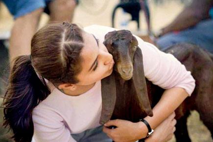 Throwback! When Anushka Sharma hugged a goat on 'Sultan' sets