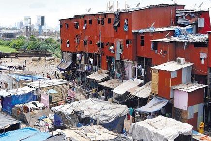 Height of politics: Congress roots for 5-ft higher slums
