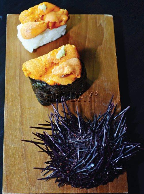 Uni can be eaten as sushi or nigiri (left), which is prepared with maki rice, or as sashimi (right), where the seafood delicacy is served raw. Pics/Sneha Kharabe