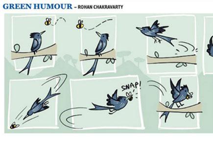 Green Humour: Comic strip by Rohan Chakravarty