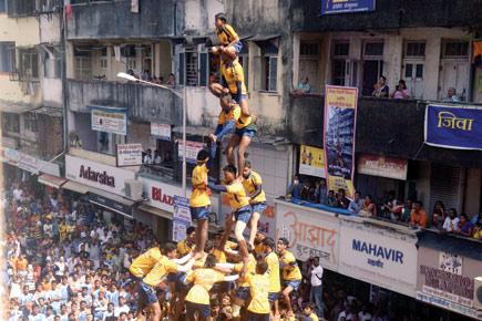 SC says human pyramid can't go beyond 20 ft in Dahi Handi fest 